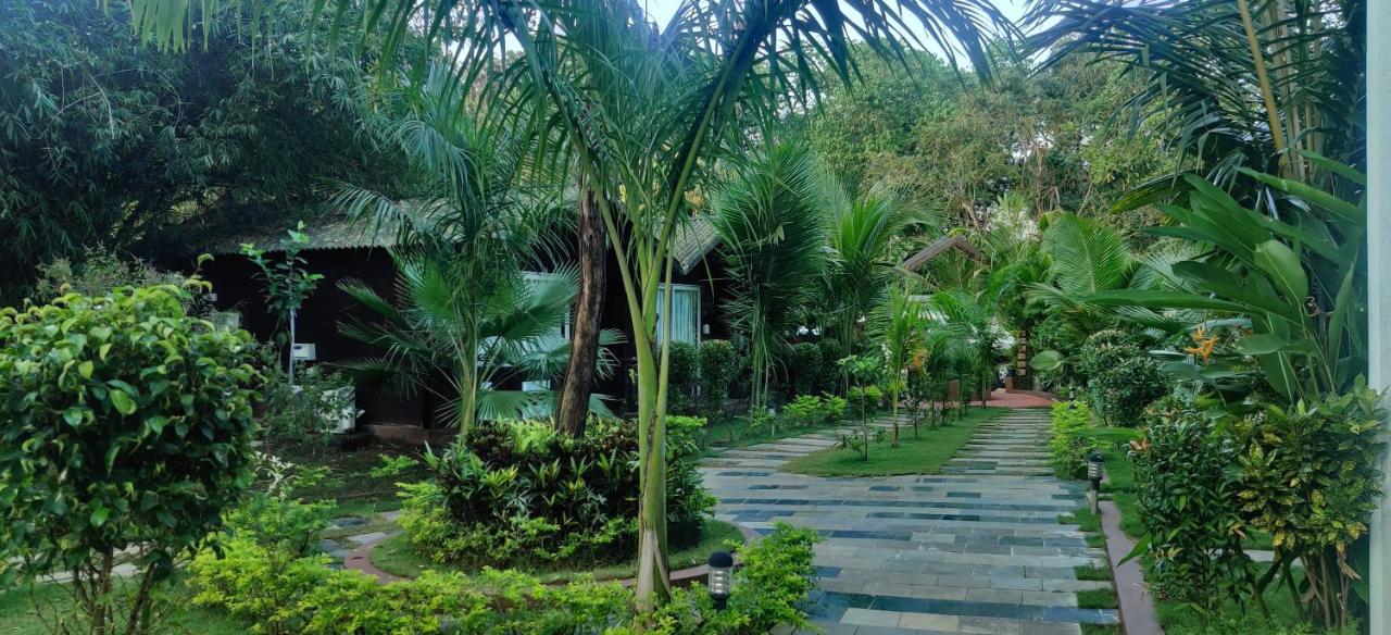 Jp Resort Arambol Exterior foto